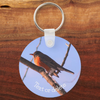Llavero Robin In Snow Wildlife Nature Personalizada