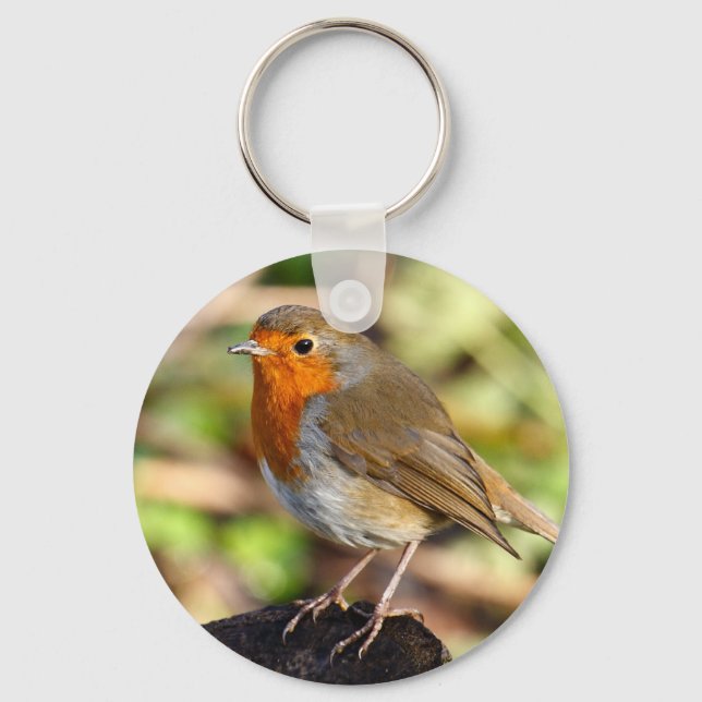 Llavero Robin Keychain (Anverso)