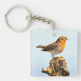 Llavero Robin singing