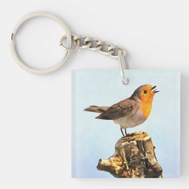 Llavero Robin singing  (Frente)