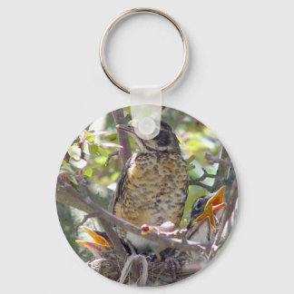 Llavero Robins para bebés en el nido Keychain 2