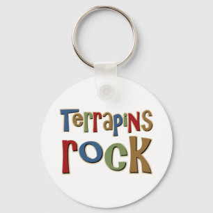 Llavero Roca de las tortugas acuáticas