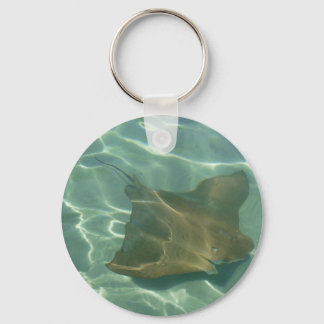 Llavero Rochen im Meer