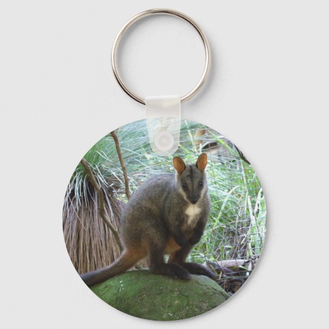 Llavero Rock Wallaby Key Ring (Anverso)