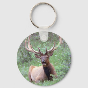 Llavero Rocky Mountain Elk