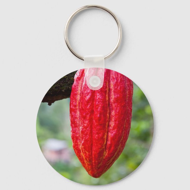 Llavero rojo de la vaina de cacao (Anverso)