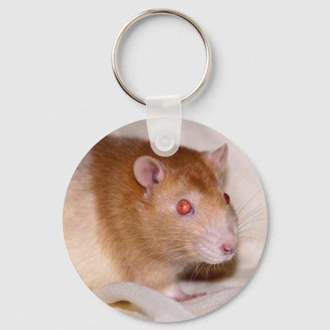 Llavero Rolando Keyring (Anverso)