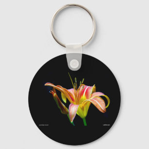 Llavero Ropa y regalos Lovely Tawny Daylily II
