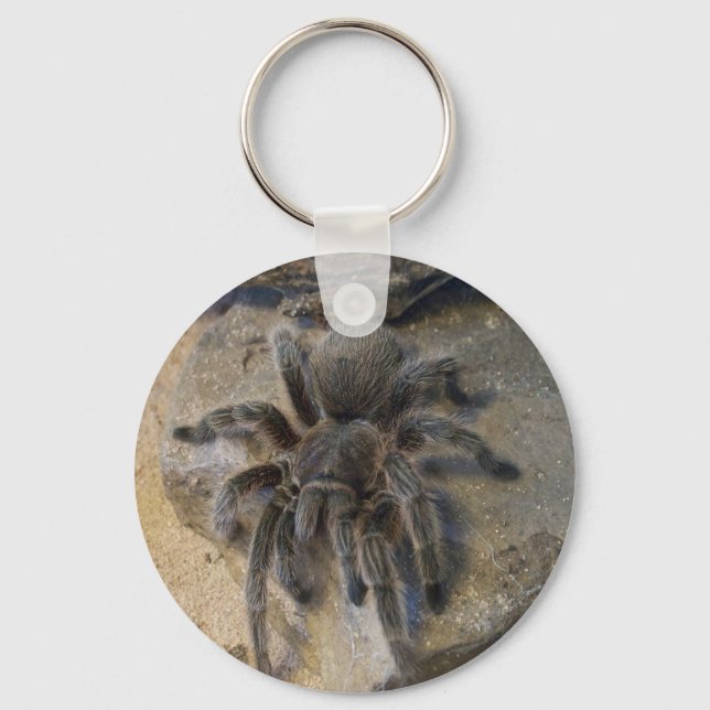 Llavero Rosa chilena Hair Tarantula (Anverso)
