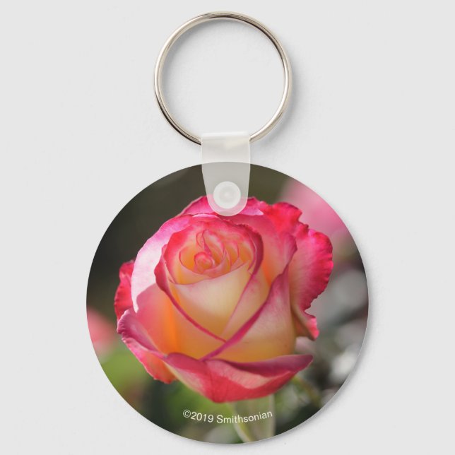 Llavero Rosa de doble luz (Anverso)