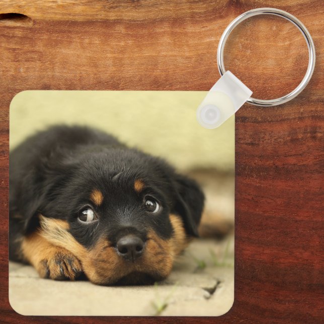 Llavero Rottweiler Puppy (Reverso )