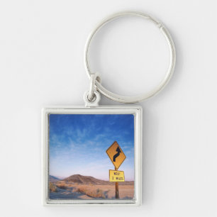 Llavero Rótulo en el camino de Death Valley en puesta del