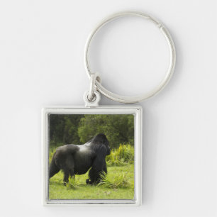 Llavero Ruanda, Parque Nacional de los Volcanes