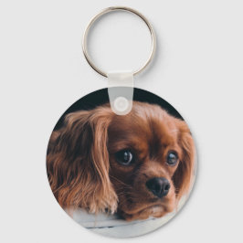 Llavero Ruby Cavalier King Charles Spaniel Dog