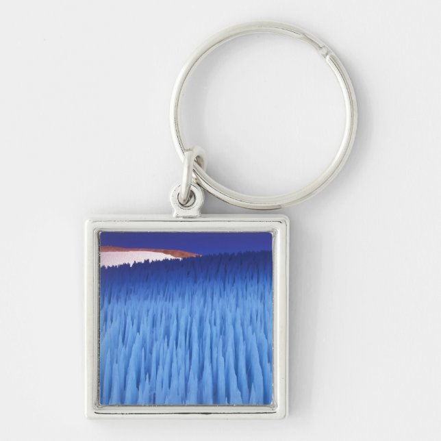 Llavero SA, Chile, Región de Coquimbo, Nieve Penitente; (Frente)