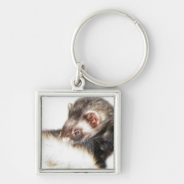 Llavero Sable Ferret Picture (Frente)