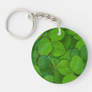 Llavero Sacro Basil Hojas de la Moneda Verde de Tulsi