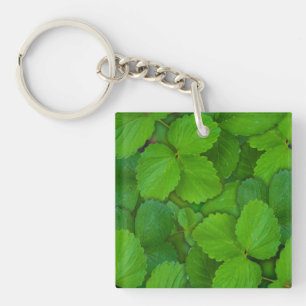 Llavero Sacro Basil Hojas de la Moneda Verde de Tulsi