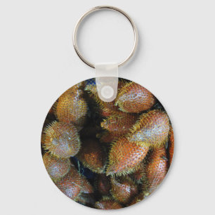 Llavero Salak [Fruta de la serpiente]