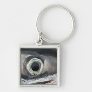 Llavero Salmon Eye