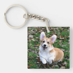 Llavero Salto de Perro Corgi Cute