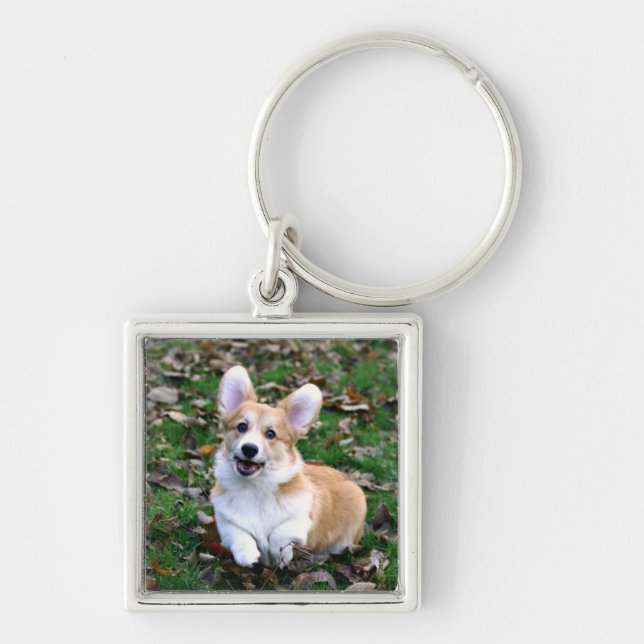 Llavero Salto de Perro Corgi Cute (Frente)