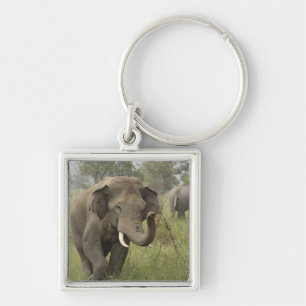 Llavero Saludo de elefante asiático indio