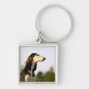 Llavero Saluki 2