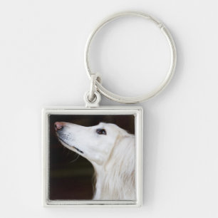 Llavero Saluki que mira para arriba