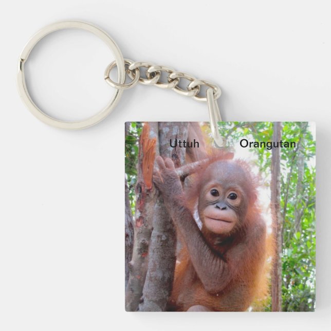 Llavero Salvar la llave del bebé orangutanes (Frente)