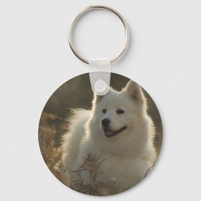 Llavero Samoyed Dog Breed Keychain (Anverso)