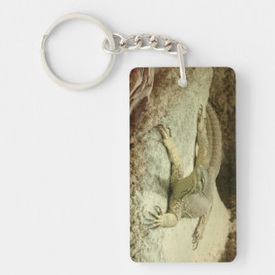 Llavero Sand goanna