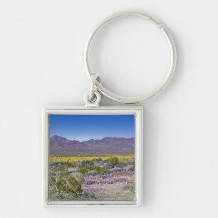 Llavero Sand Verbena y Desert Gold en Amboy Crater, CA,