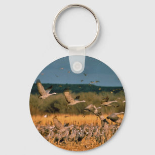 Llavero Sandhill Cranes