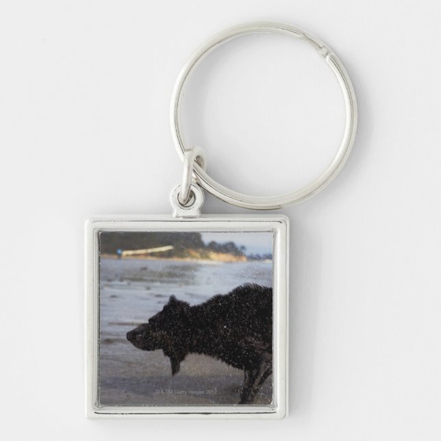 Llavero Santa Barbara, California, los E.E.U.U. (Frente)