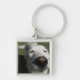 Llavero Santa Fe, Nuevo México