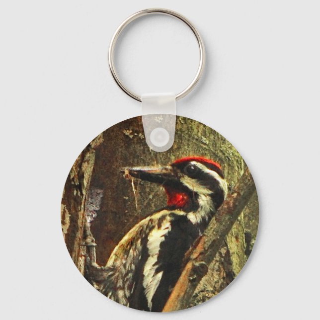 Llavero Sapsucker (Anverso)