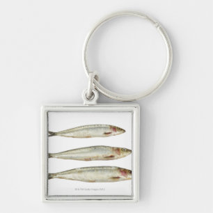 Llavero Sardinas (sardinas) 2
