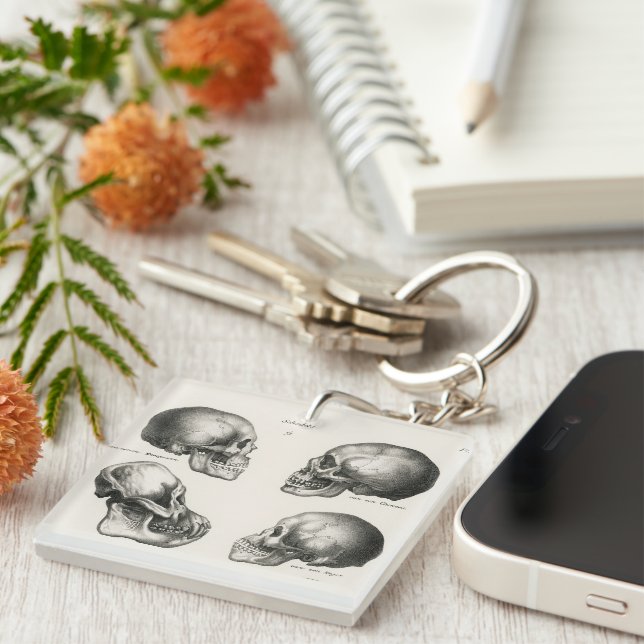 Llavero Schinz de Visser Human Monkey & Ape Skulls (Frente Derecha)