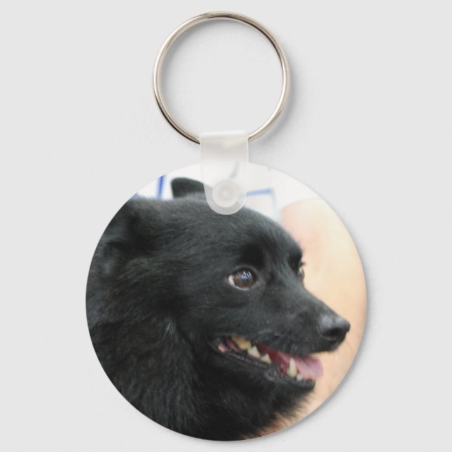 Llavero Schipperke Keychain (Anverso)