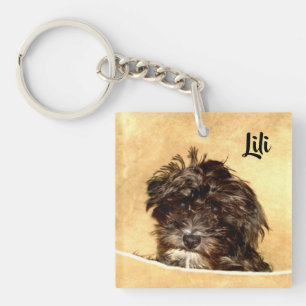 Llavero Schnoodle Perro Doble Cara
