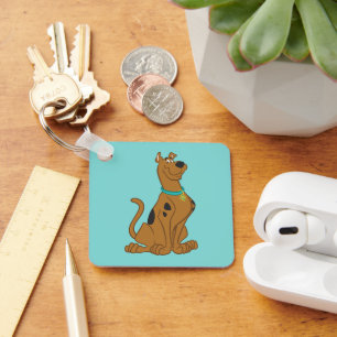 Llavero Scooby-Doo Cuter Thate