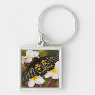 Llavero SE Asia, Tailandia, Khon Kaen