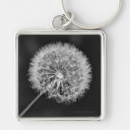 Llavero Se fue a la semilla