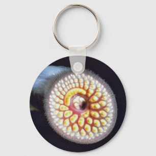 Llavero Sea Lamprey