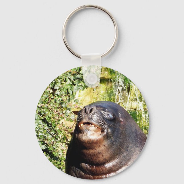 LLAVERO SEA LION KEYCHAIN (Anverso)