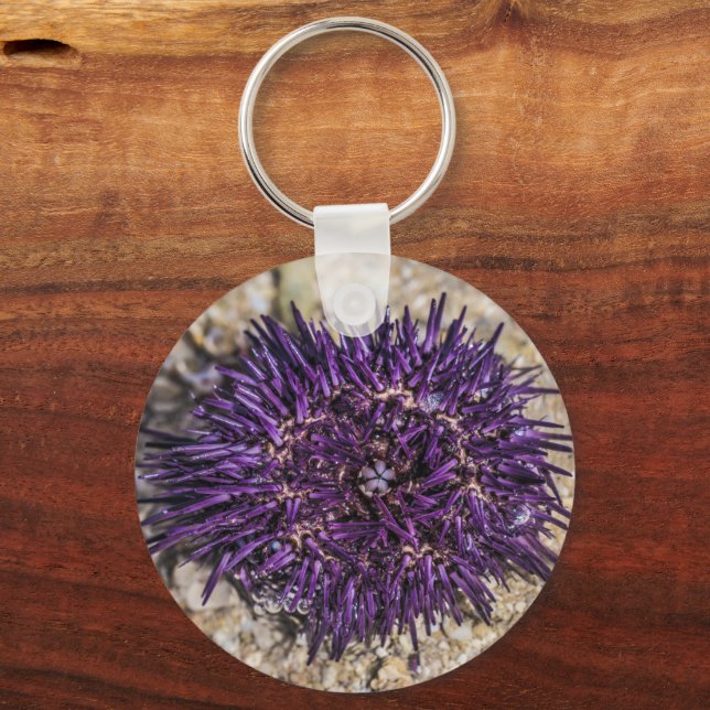 Llavero Sea Urchin Ocean Beach Holiday Summer Souvenir (Anverso)