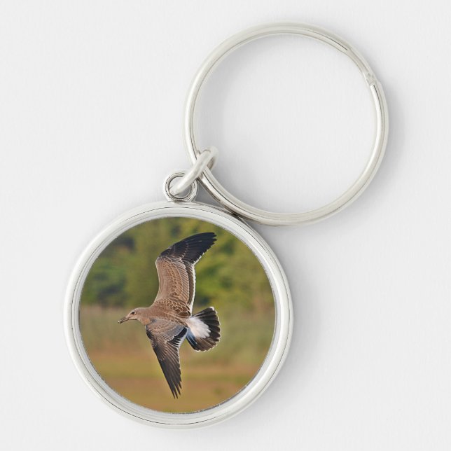Llavero Seagull Keychain (Frente)
