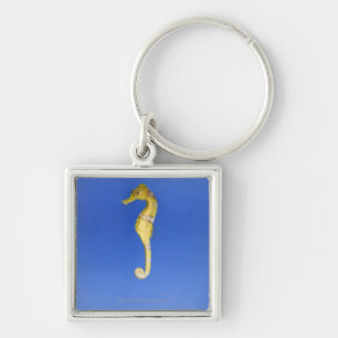 Llavero Seahorse
