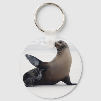 Llavero Sealion